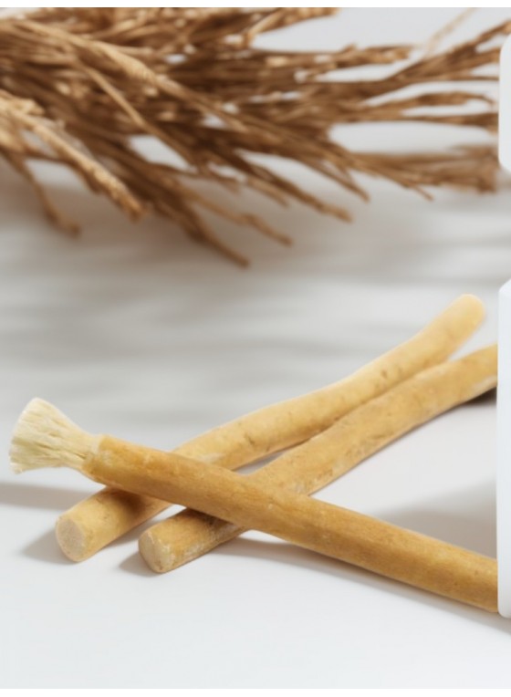 siwak ou miswak brosse à dents naturelle